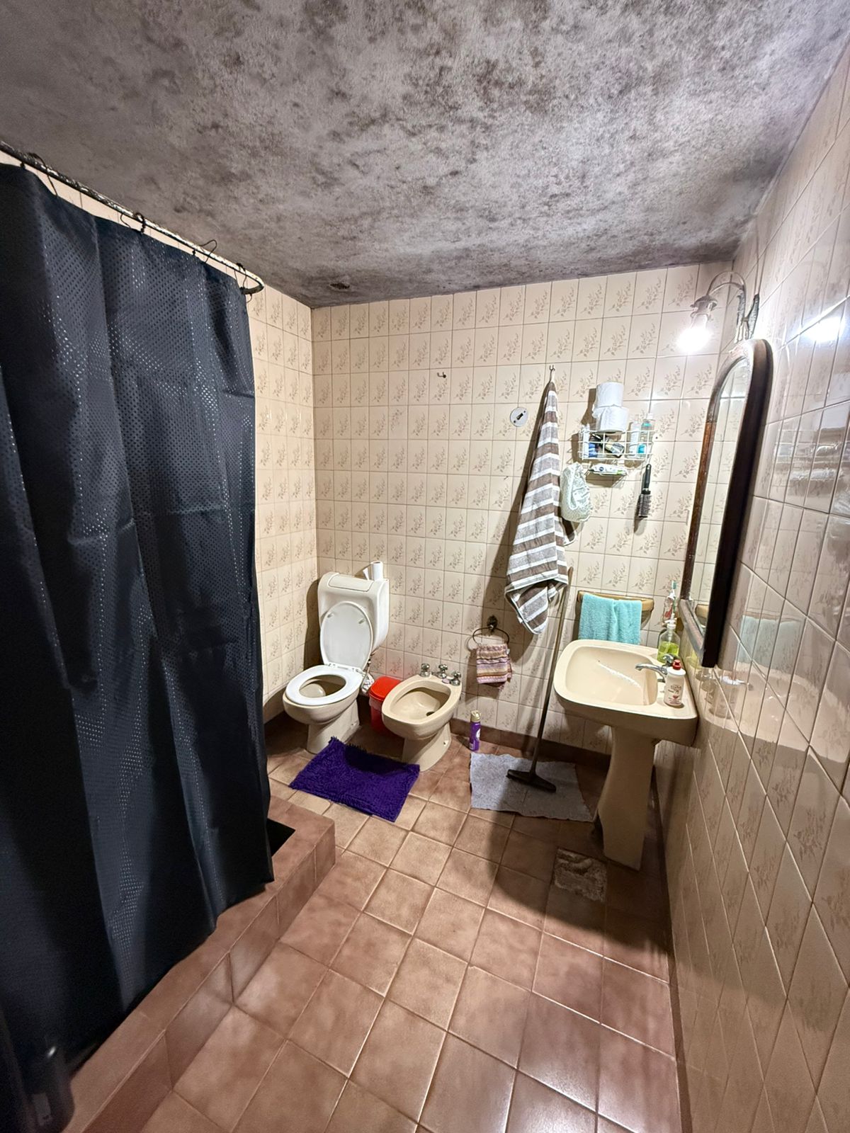 aparopropiedades - Casa en venta en la Ribera 